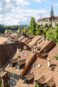房子 屋顶 欧洲 城堡 村庄 建筑学 大教堂 地标 古老的
