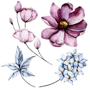 油漆 卡片 邀请 水彩 美丽的 自然 花的 复古的 艺术品