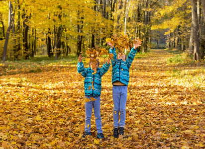 木材 儿童 白种人 秋天 童年 男孩 森林 自然 帽子 乐趣