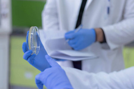 Group of  Laboratory scientists working at lab with test tubes, 