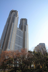 东京 新宿 摩天大楼 城市 街景 城市景观 建筑 日本 街道