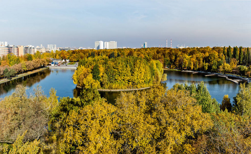 大都市 城市景观 旅游业 历史 季节 建筑学 海岸 风景