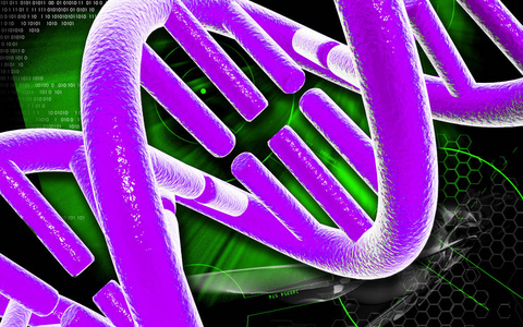绘图 三维 插图 基因 细胞 颜色 遗传学 科学 医院 克隆