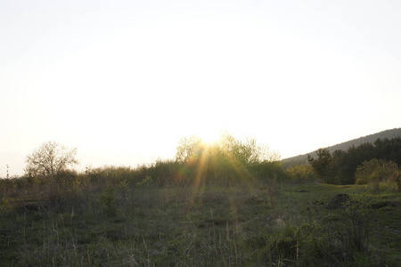 斯洛伐克 夏天 森林 太阳 草地 早晨 秋天 场景 黎明