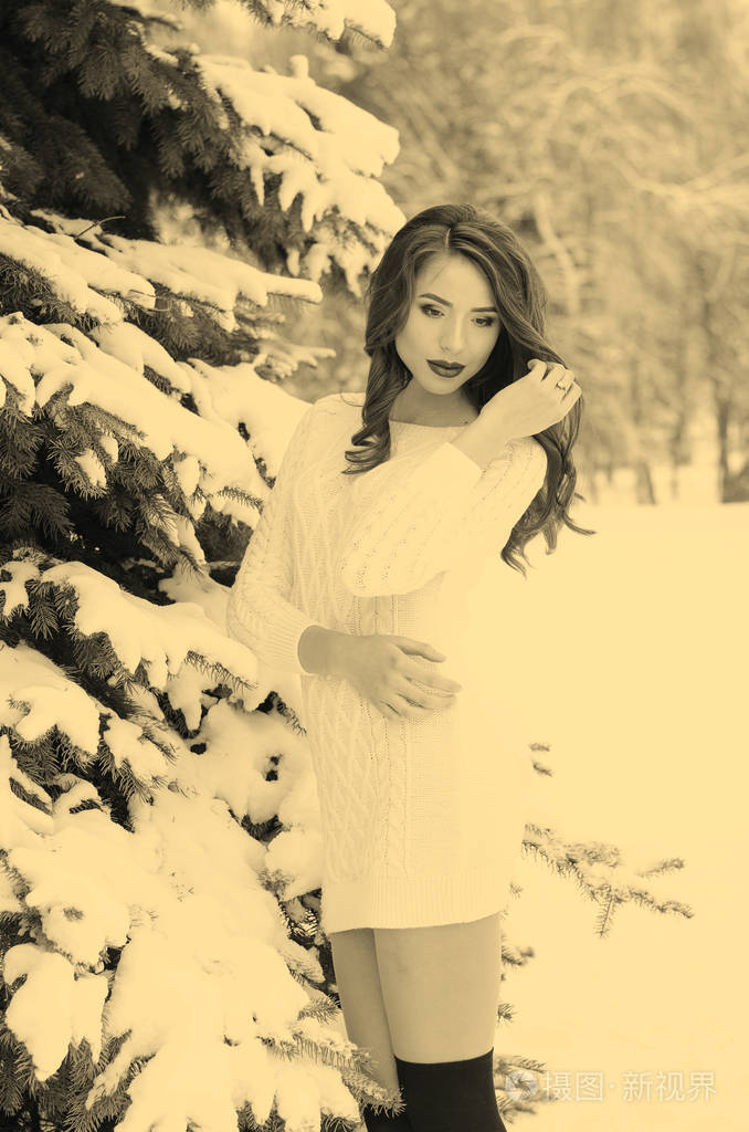 雪皇后冬天女人的肖像