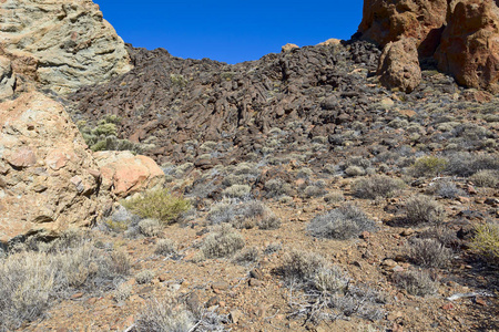 卵石 特内里费 巨石 西班牙 自然 岩石 植物 小山 编队