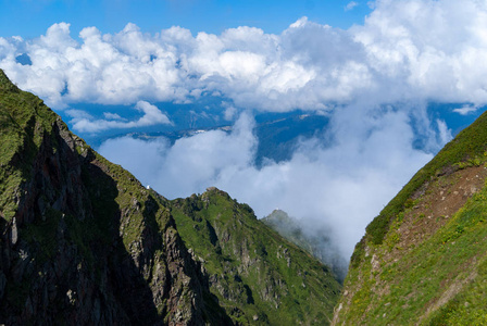 高的 森林 地平线 夏天 风景 旅行 季节 全景 山谷 公园