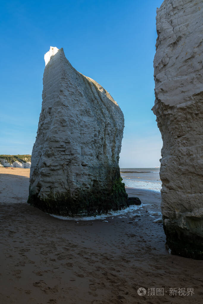 肯特州布罗德斯泰尔斯附近的植物湾白垩悬崖
