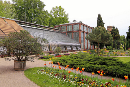 植物区系 绿洲 温室 花园 植物学 草坪 观光 音乐学院