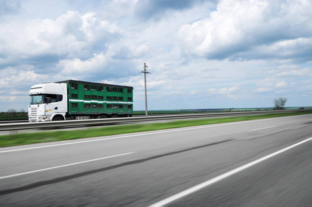 运输 运动 高速公路 基础设施 风景 自然 拖车 动物 物流