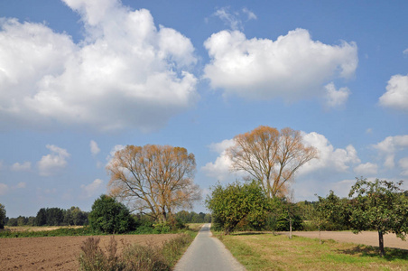 够了 自然 黑森 德国 天空 苍穹 风景 乡村