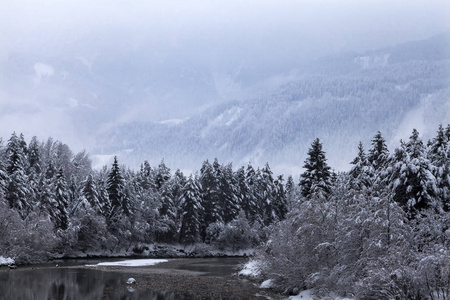 风景 寒冷的 一月 冬天 十二月 在里面 积雪 乡村 奥地利人