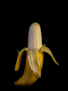 Fresh Cavendish Banana on black background. 