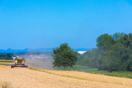 英亩 小麦 农业 夏季 农场 谷类食品 粮食 夏天 农事
