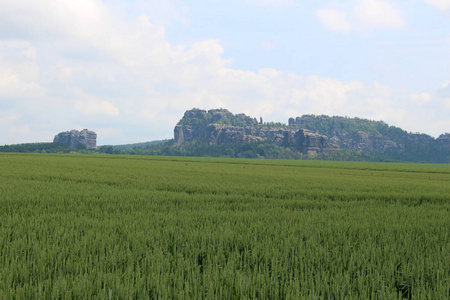 粮食 夏季 领域 苍穹 谷类食品 小麦 黑麦 全景图 岩石