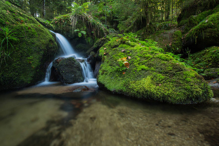 季节 森林 旅游业 水域 德国 瀑布 岩石 苔藓 风景 精彩的