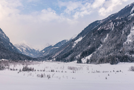 被雪覆盖的山谷草地树木和山脉。阿尔卑斯山冬季的风景。