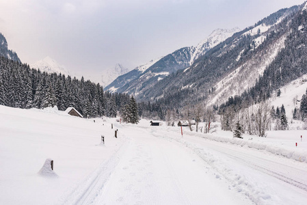  The valley, road, meadow, trees and mountains covered with snow