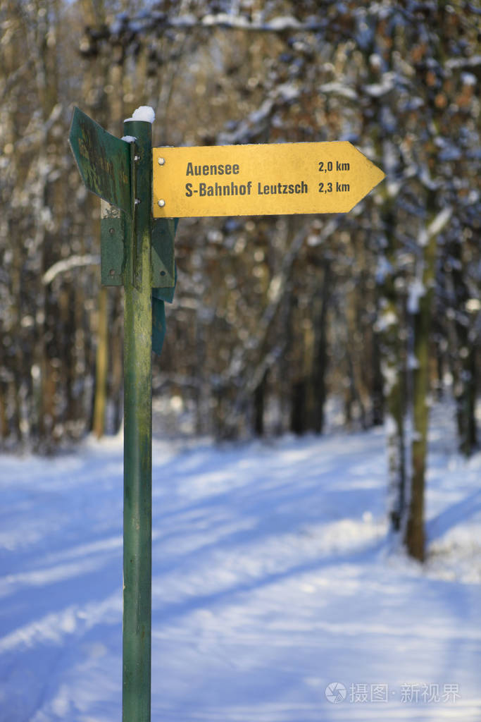 路标 森林 信号 二月 在里面 十二月 签名 冻结 冬天