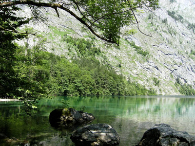 自然 风景 旅行 旅游业 反射 公园 森林 石头 美丽的