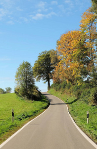 季节 旅行 森林 秋天 美丽的 公园 乡村 落下 沥青 公路
