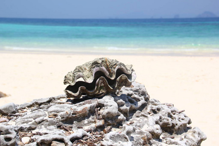 海景 海滩 旅行 假期 美丽的 泰国 天堂 夏天 天空 海洋