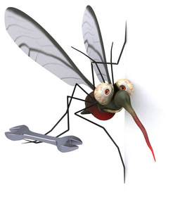 细菌 流行病 翅膀 疼痛 健康 蚊子 工具 动物学 疟疾