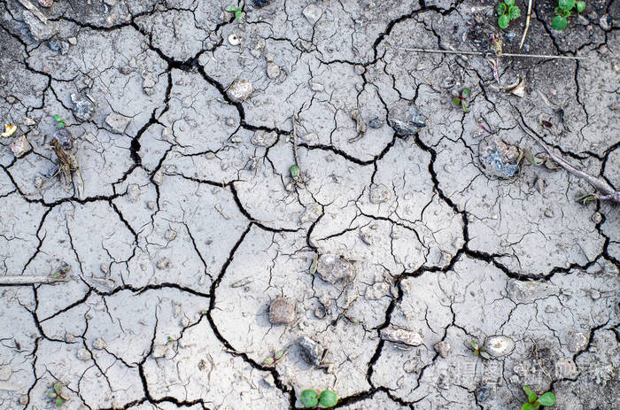 灰色土壤中的大裂缝阳光