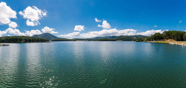 全景图 自然 美丽的 旅游业 风景 旅行 森林 夏天 越南