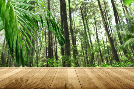 Wooden floor with green trees and palm leaf 