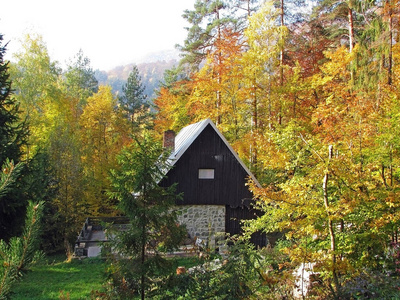 林中小屋