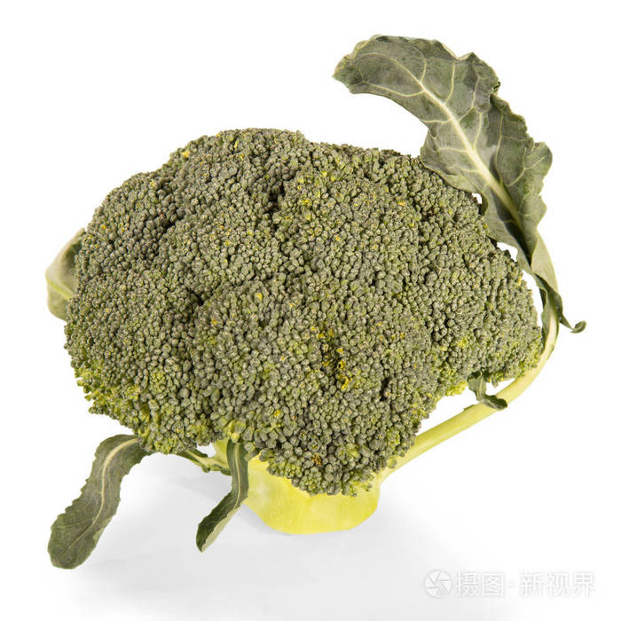 西兰花叶特写隔离在白色