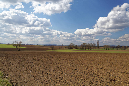 自然 法郎 乡村 德国 预订 风景 植被 巴伐利亚 闪耀