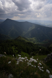 斯洛伐克夏季的Velka Fatra山脉