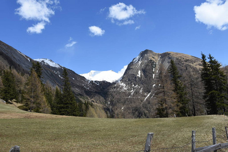 自然 公园 全景图 森林 草地 天空 岩石 阿尔卑斯山 风景