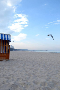 海洋 假日 波罗的海 海滨 疗养 海滩 假期 海岸