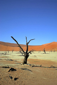 公园 沙漠 旅游业 风景 沙丘 平底锅 纳米比亚 天空 干旱