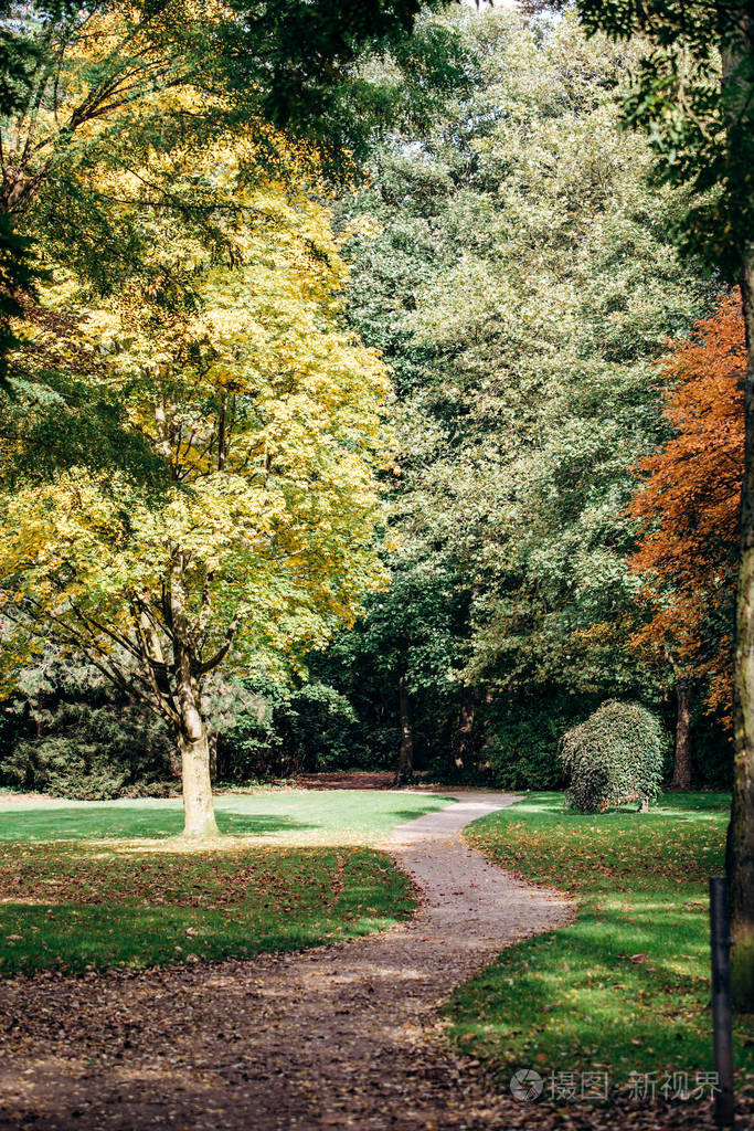 公园里的小路绿色是一个美丽的公园公园景观