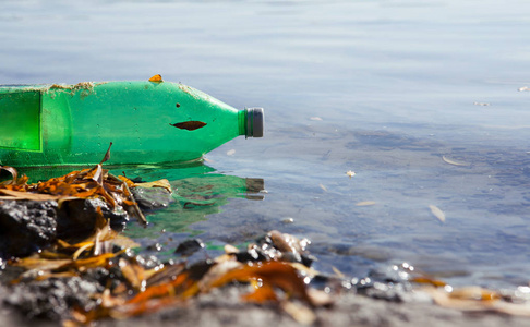 A green plastic bottle floats down the river. The river is very 