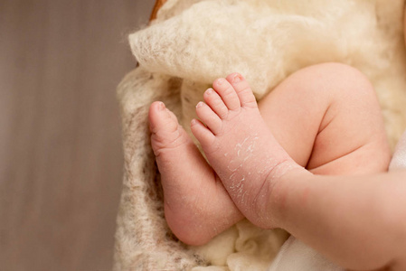  foot of the newborn baby, fingers, copy space