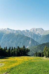 山林绿景