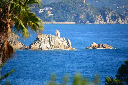 夏天 假期 美丽的 天空 西班牙 地中海 自然 棕榈树 海湾