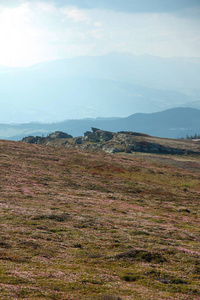 广泛的 自然 阿尔卑斯山 风景 牧场 岩石 高的