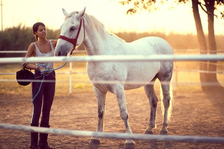女人和她的马的结合。乡村训练，日落歌