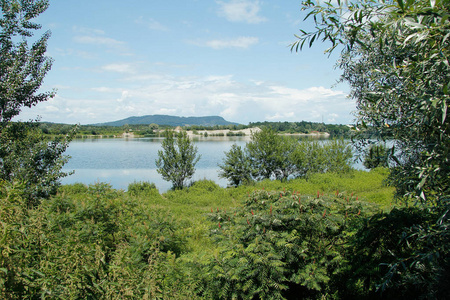 池塘 夏季 在里面 风景 夏天