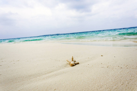 夏天 珊瑚 目的地 旅行 海洋 旅游业 假期 海滨 自然