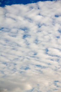 天气 下雨 苍穹 海鞘 天空 奥地利人