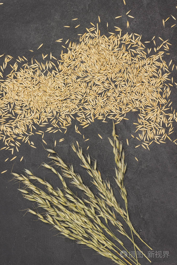 燕麦的谷粒和小穗