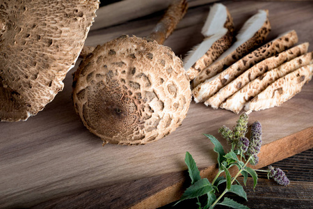 巨角菌是一种非常美味的食用菌图片