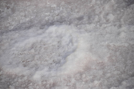 调料品 矿物 晶体 雪花 十二月 美丽的 自然 季节 生理盐水